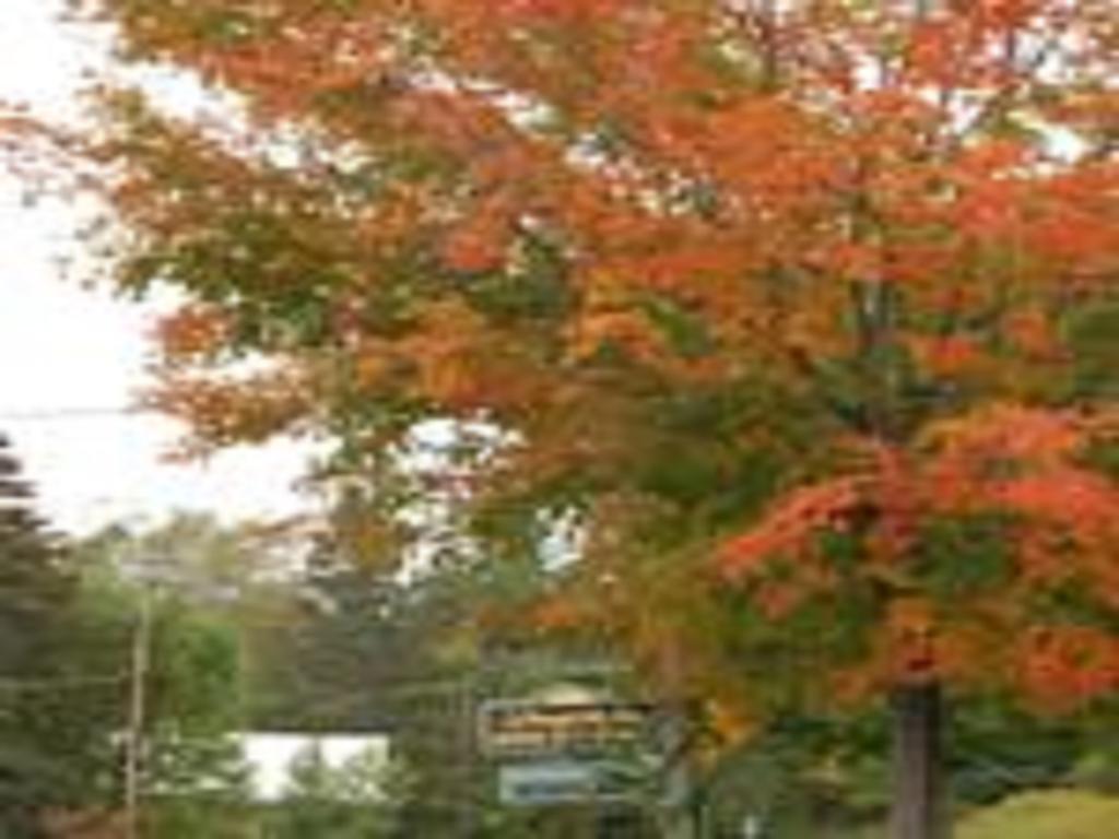 Willoughvale Inn Westmore Newport Bagian luar foto